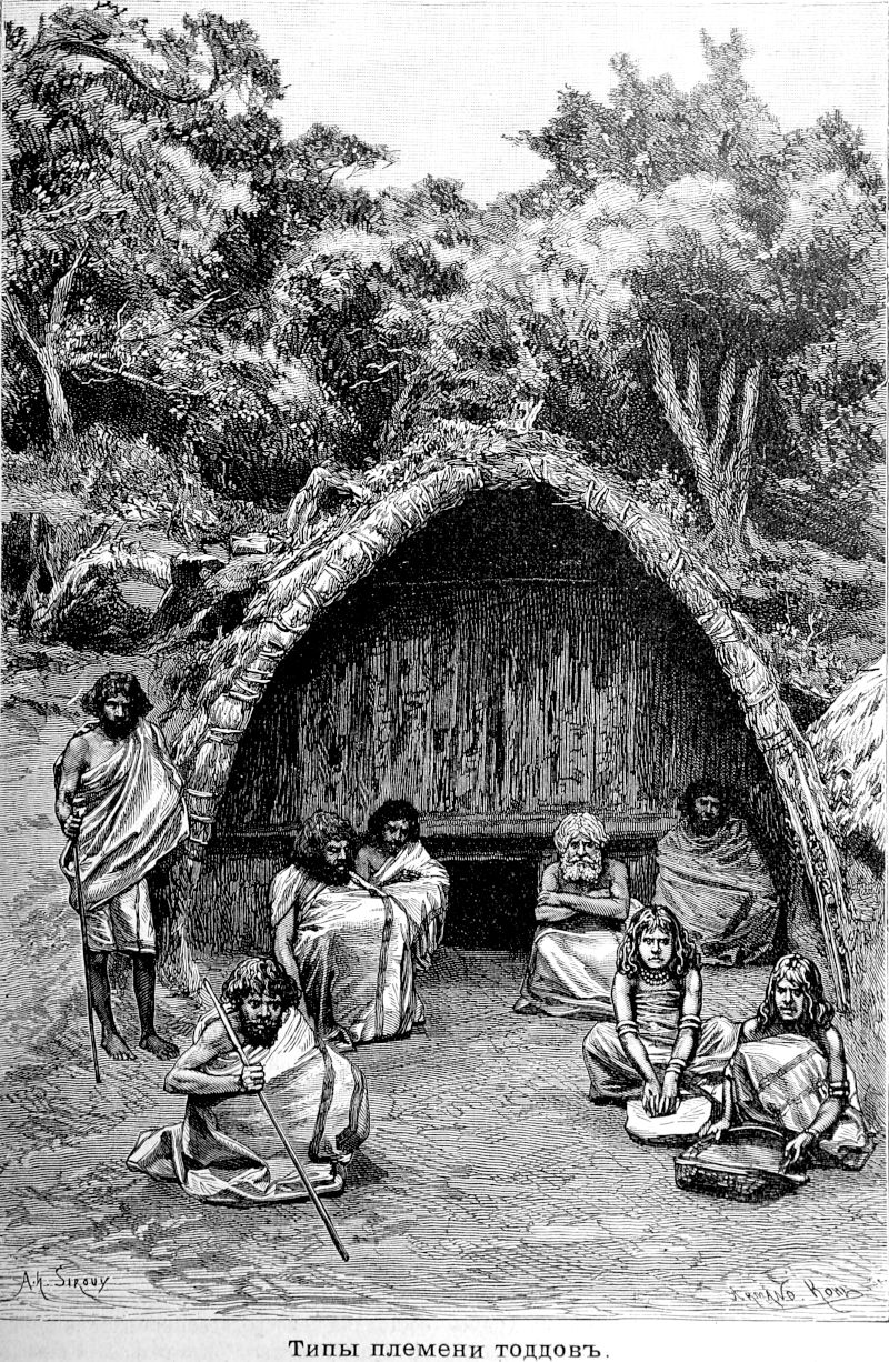 537 Типы племени тоддов